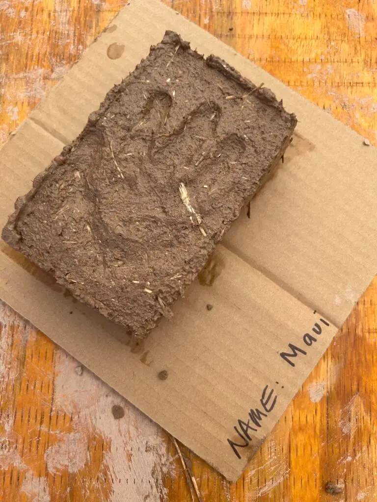 548268740 122237960108179656 776924534782355975 n