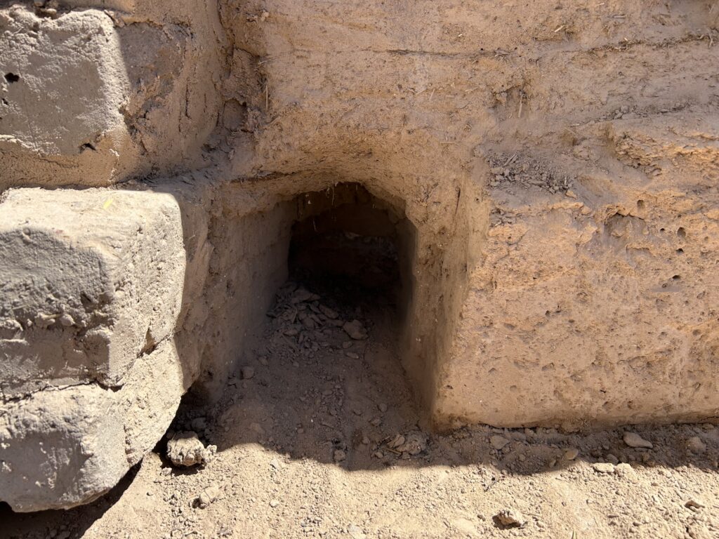 photo apr 23 2025, 2 56 35 pm